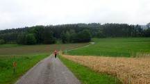  Blick auf die Wanderstrecke 